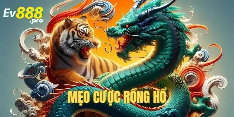 Mẹo chơi rồng hổ giúp tăng tỷ lệ thắng