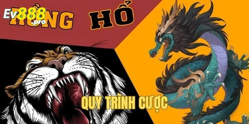 Lưu ý quan trọng khi chơi Rồng Hổ