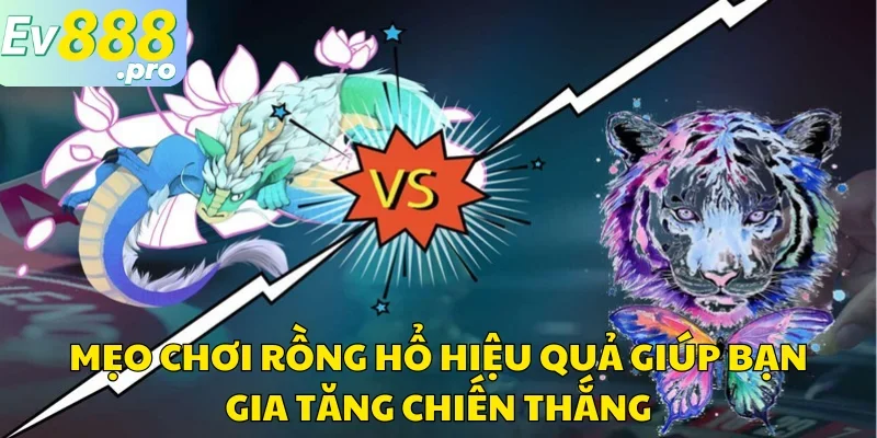 Mẹo Chơi Rồng Hổ