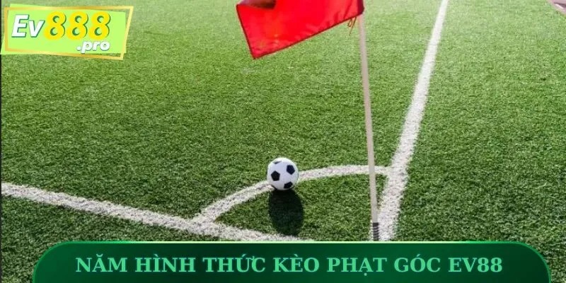 Năm hình thức kèo phạt góc EV88 kèm theo minh họa thực tế